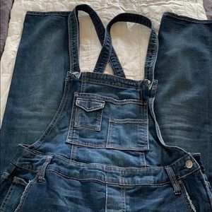 Free People Distressed Skinny Overalls